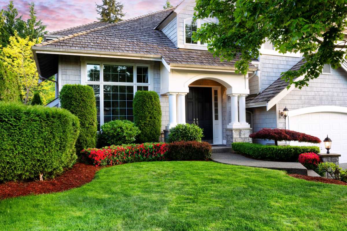 Achieving a Lush Green Lawn: Top Tips for Effective Lawn Care